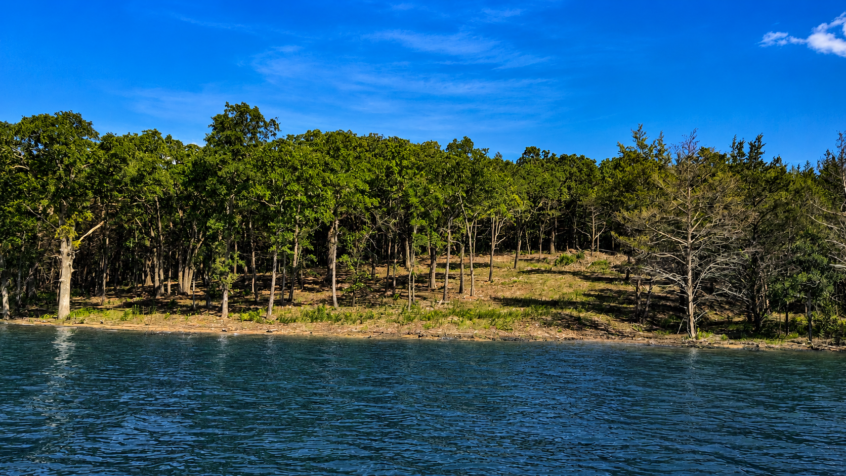 Cypress Point lake view